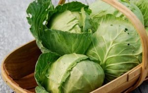 5 Benefits Of Cabbage To Human Health